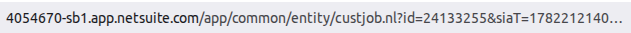 NetSuite customer record URL showing the internal ID