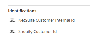 Customer Identifications showing the NetSuite Customer Internal ID